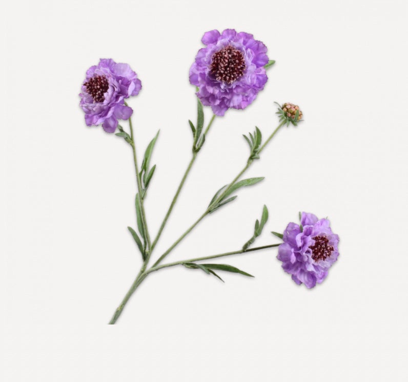 Scabiosa Spray | REAL TOUCH 31.5"