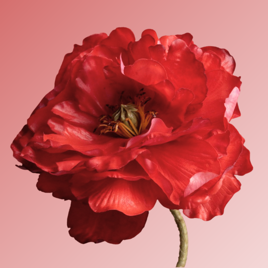 Red silk/artificial/faux poppy on a pink background (Silk-ka)