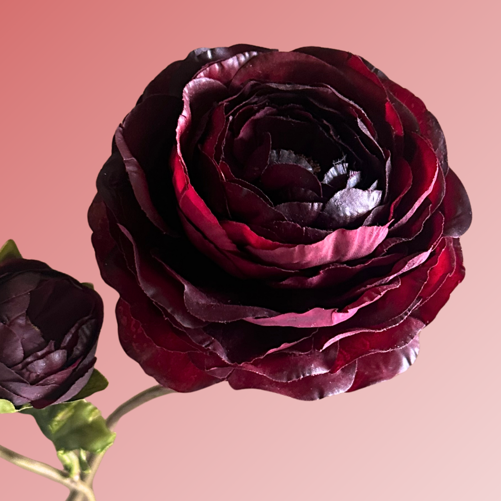 Burgundy silk/artificial/faux Ranunculus. (Silk-ka)