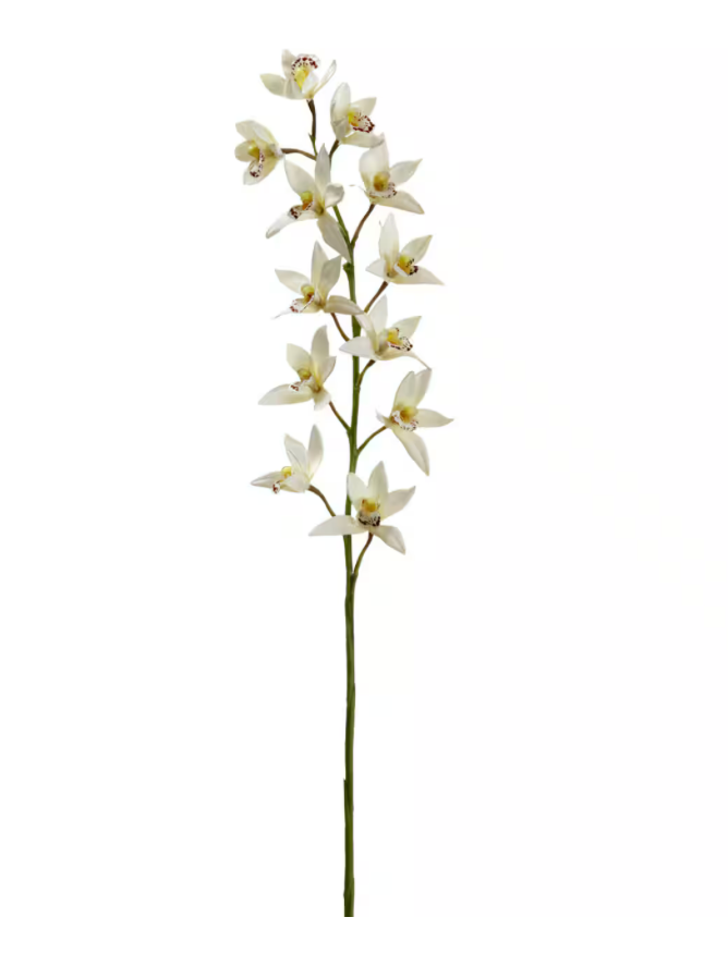 Orchid Stem WHITE/YELLOW 36"