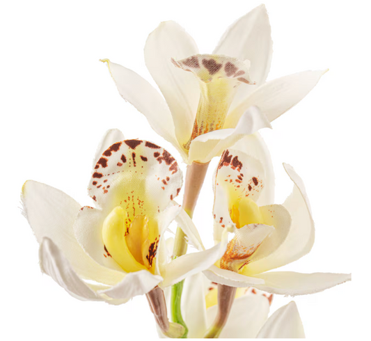 Orchid Stem WHITE/YELLOW 36"
