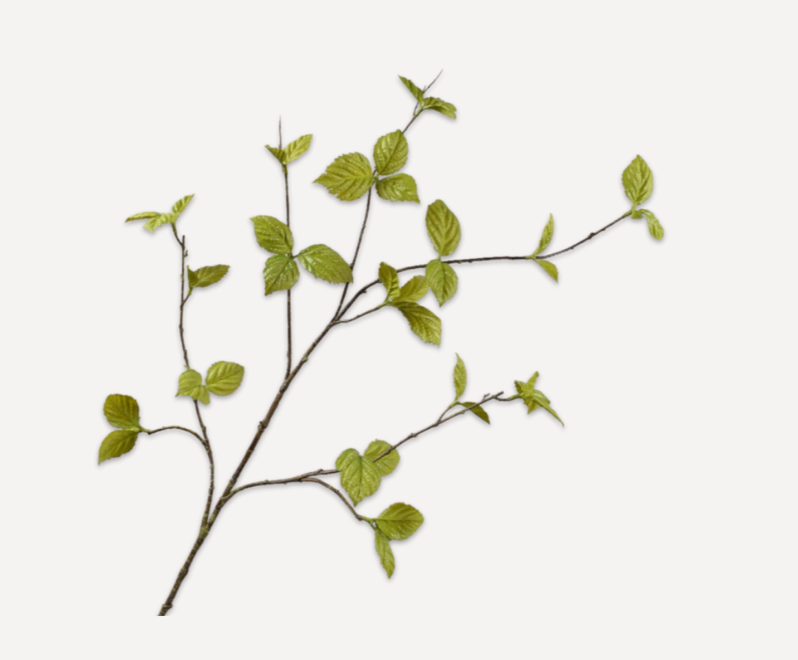 Leaf Spray Corylus GREEN | 45"
