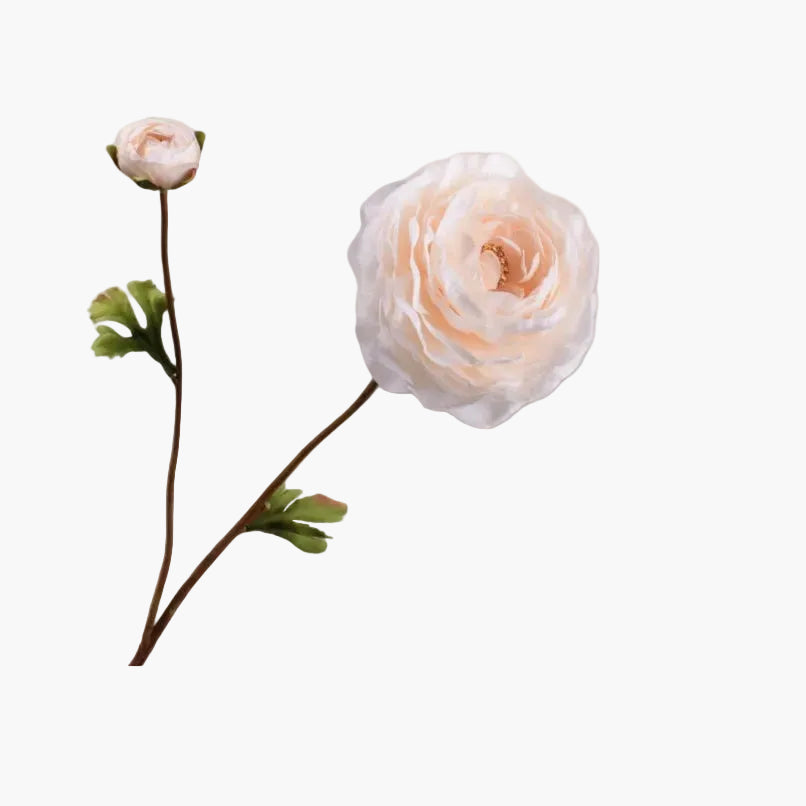 Single Cream Silk/Artificial/Faux Ranunculus on a white background. (Silk-ka)