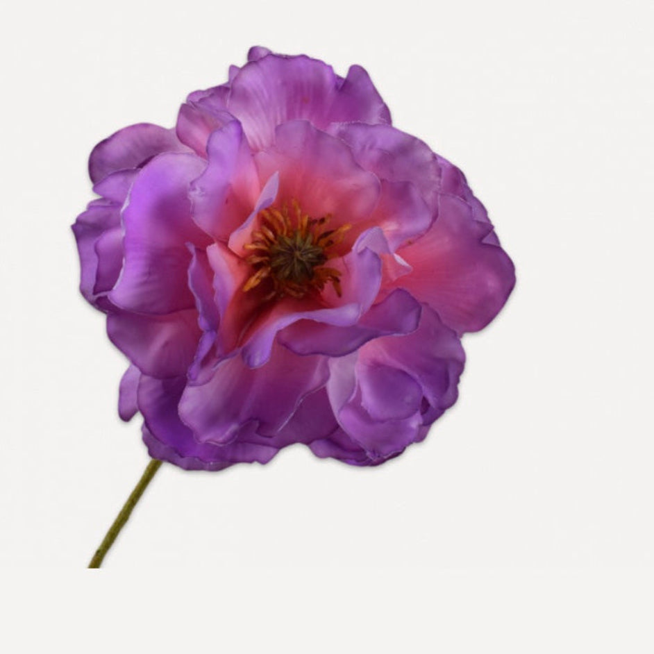 Single purple silk/artifiical/faux Poppy on a white background. (Silk-ka)