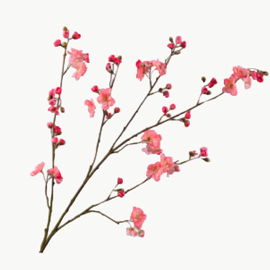 Budding Blossom Spray | 46"