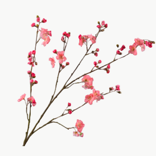 Budding Blossom Spray | 46"