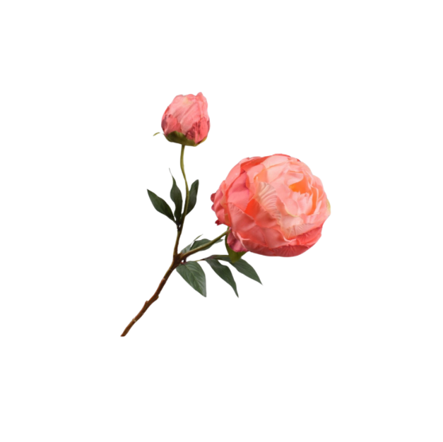 Silk/Artificial/Faux Salmom colored Peony Spray on a white background (Silk-ka)
