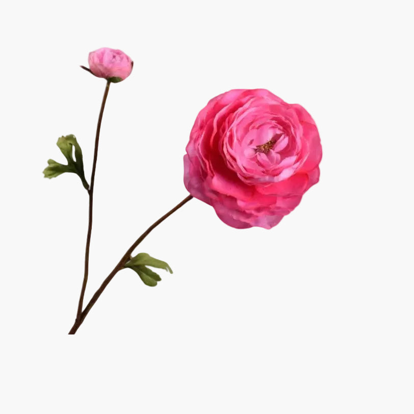 Single Pink Silk/Artificial/Faux Ranunculus on a white background. (Silk-ka)