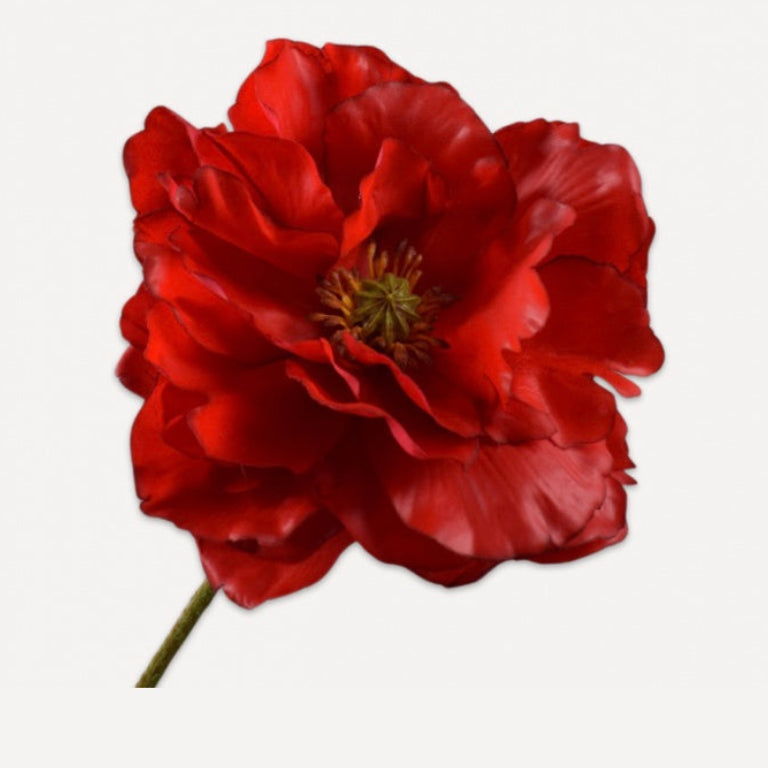 Red Silk/Artificial/Faux Poppy on a white background. (Silk-ka)