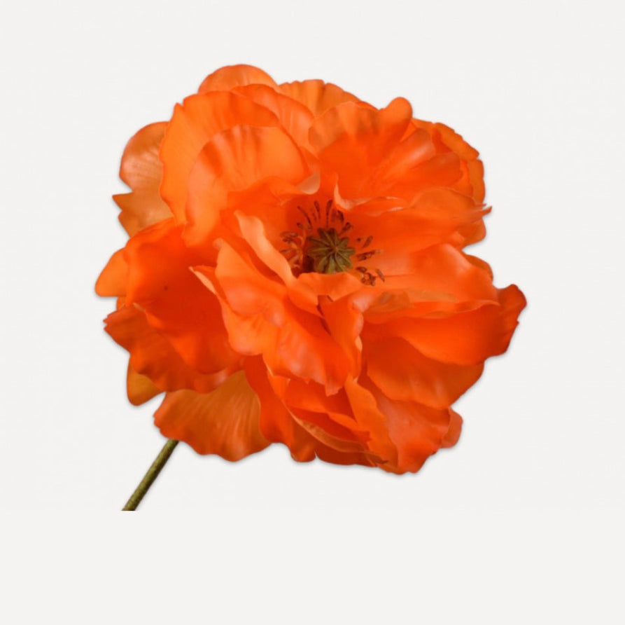 Single orange silk/artifiical/faux Poppy on a white background. (Silk-ka)